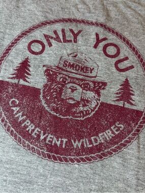 Nostalgic Gray Smokey Bear Short Sleeve Tee Women’s Size XL